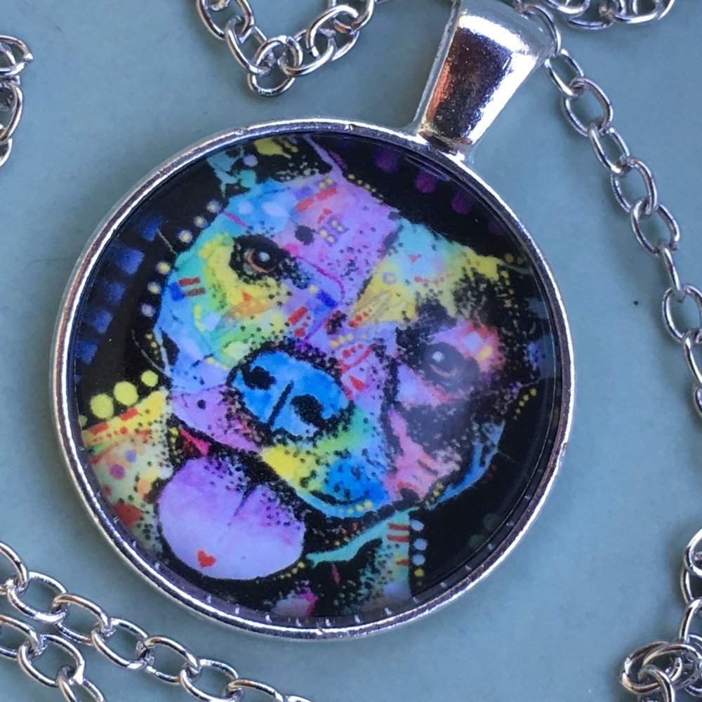 Colorful Pit bull 🐕💕